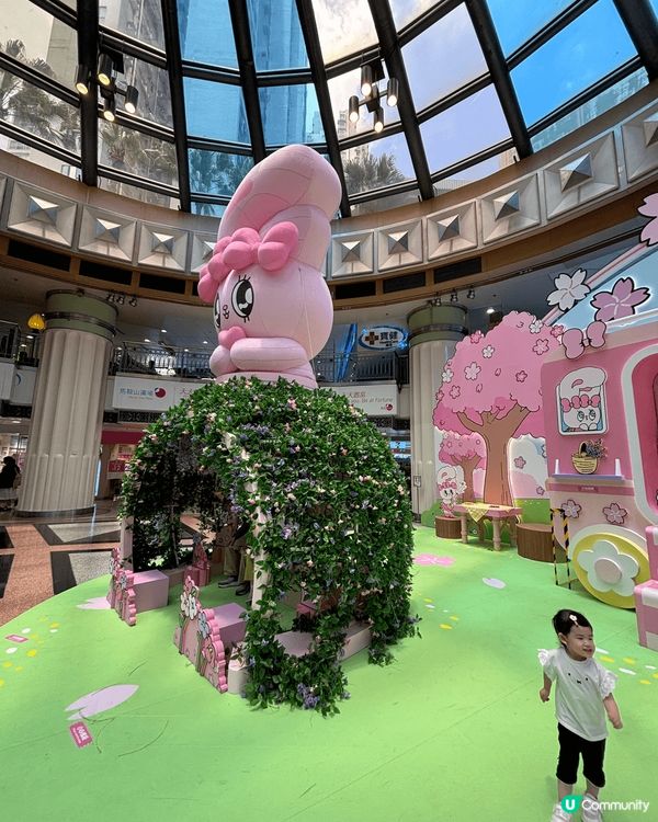 馬鞍山廣場粉紅繁花夢幻花園，以櫻花林及紫色的薰衣草圍着時尚有...