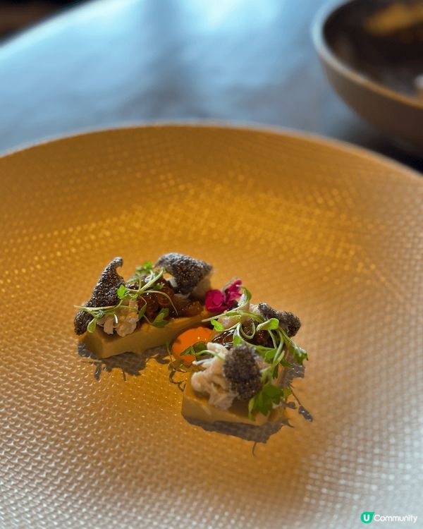 🇭🇰 📚𝗟𝗶𝗯𝗿𝗮𝗿𝘆 𝘁𝗵𝗲𝗺𝗲 𝘀𝗲𝗮-𝘃𝗶𝗲𝘄 𝗙𝗿𝗲...