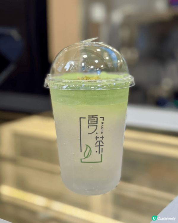 💚💚💚💚💚💚💚💚💚