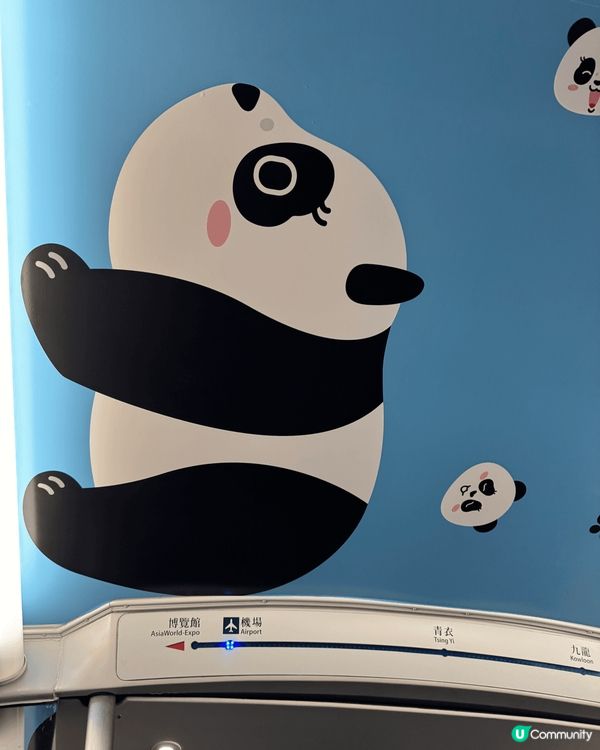 熊貓家姐細佬近期非常受歡迎，搭機場快綫都可以見到佢哋嘅蹤影。