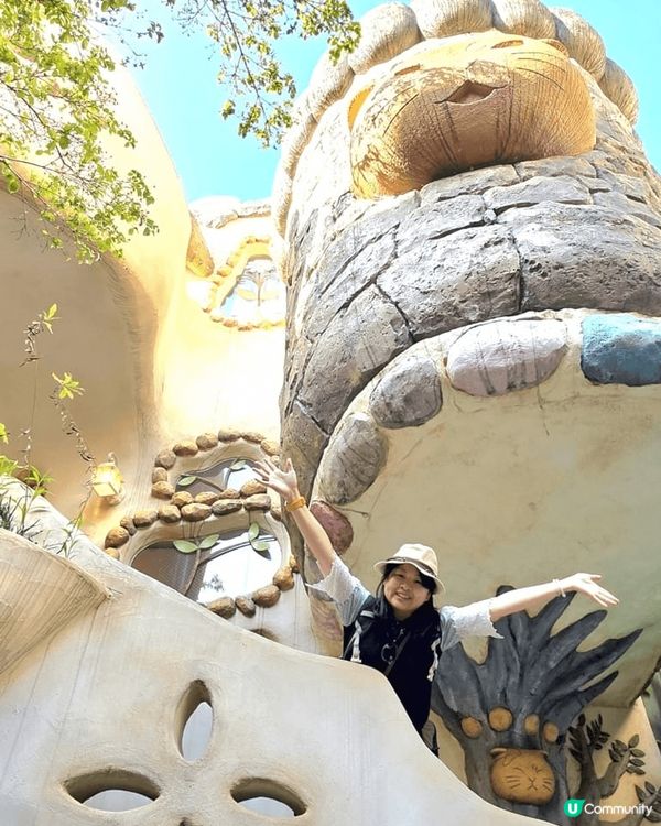 💟超萌‼️超好拍‼️喵星人王國‼️ 🌈 