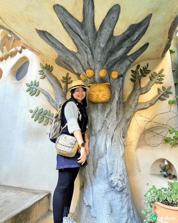 💟超萌‼️超好拍‼️喵星人王國‼️ 🌈 