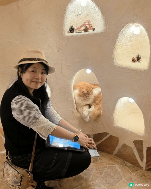 💟超萌‼️超好拍‼️喵星人王國‼️ 🌈 