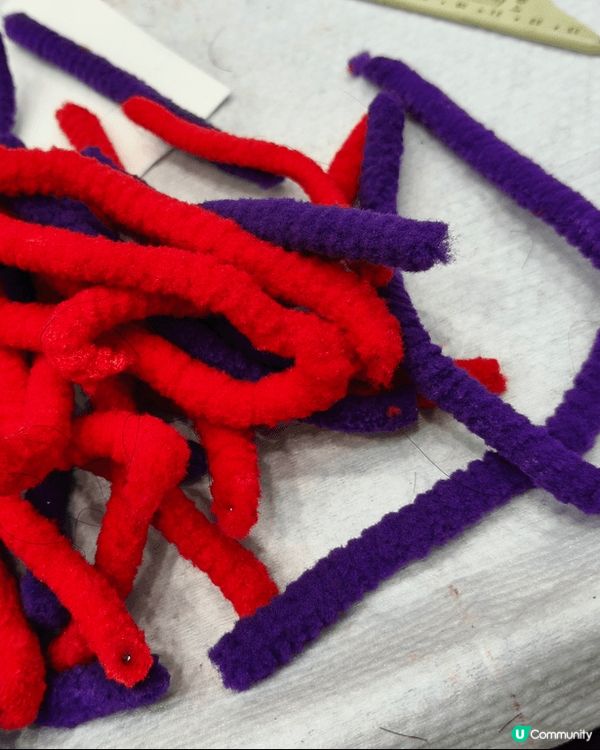 生日驚喜🎉：髮型改造計畫💇  