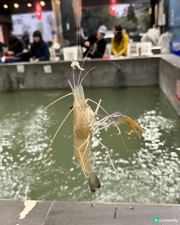 去台灣旅行不妨找釣蝦場遊玩一番！佢哋大部份嘅釣蝦場都好大，而...