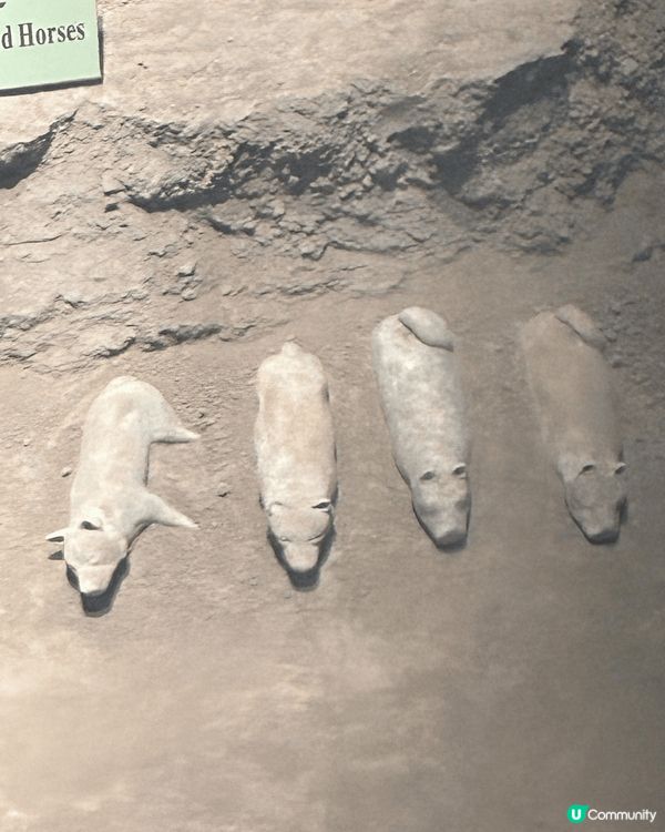 西安文化之旅，人生必須要去一次的地方。除兵馬俑外，回民街，書...