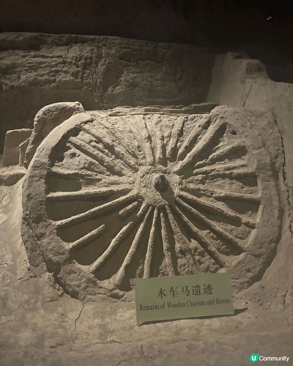 西安文化之旅，人生必須要去一次的地方。除兵馬俑外，回民街，書...