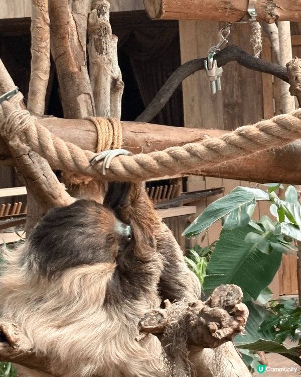 到了海洋公園，首先映入眼簾的是壯觀的入口，色彩繽紛的裝飾讓人...