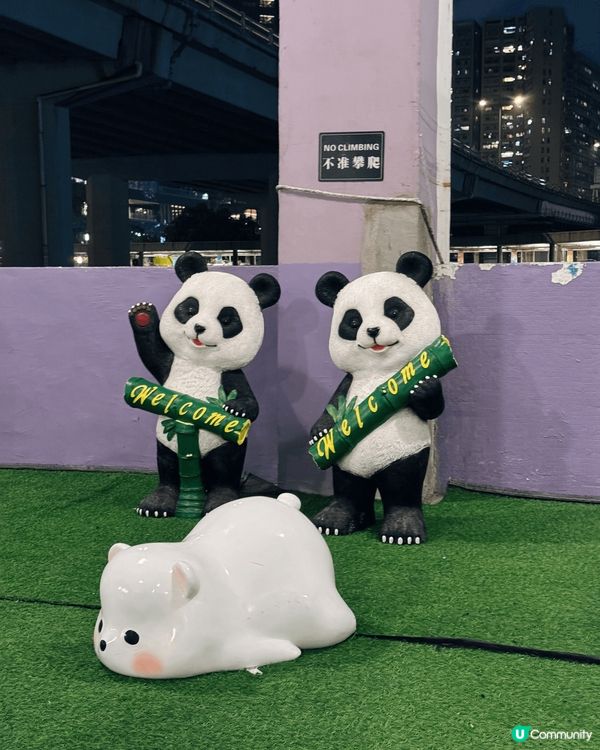 最近帶左屋企人去〔洋紫荊維港遊〕，上船睇香港夜景🌃+食自助晚...