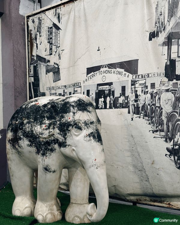 最近帶左屋企人去〔洋紫荊維港遊〕，上船睇香港夜景🌃+食自助晚...