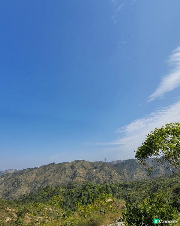 早排天氣時熱時涼，有日無雨又廿度就走去行山，太耐無行，行到中...