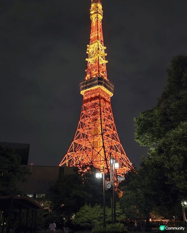 【東京之旅🇯🇵必去三個感官爆擊景點！】