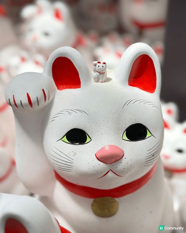 【東京之旅🇯🇵必去三個感官爆擊景點！】