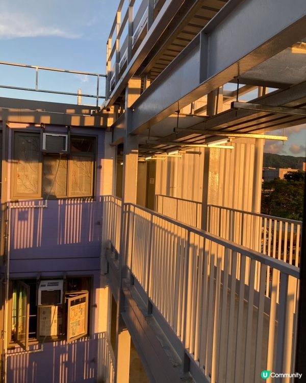 休閒的生活在元朗