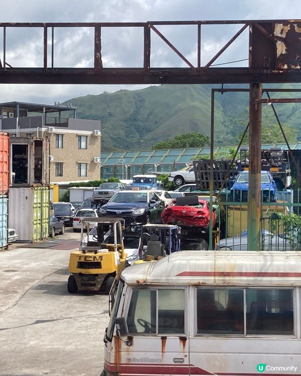 休閒的生活在元朗