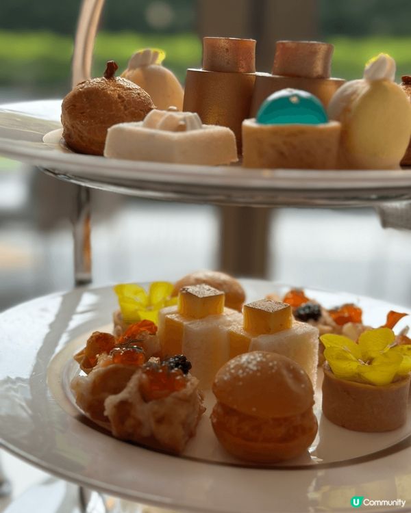 Murray X Tom Ford 下午茶🫖