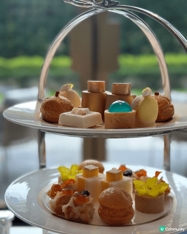 Murray X Tom Ford 下午茶🫖