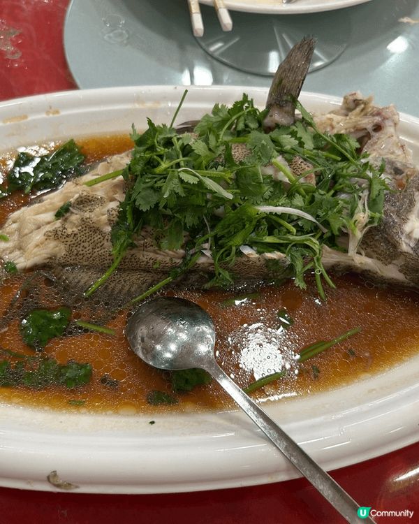 家人壽宴晚飯，主角乳豬，最正都係上湯龍蝦🦞伊麵，其他正常發揮...