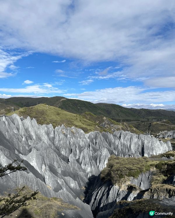 2025年5月，川藏旅遊，墨石公園。整個公園都是土撥鼠在生活