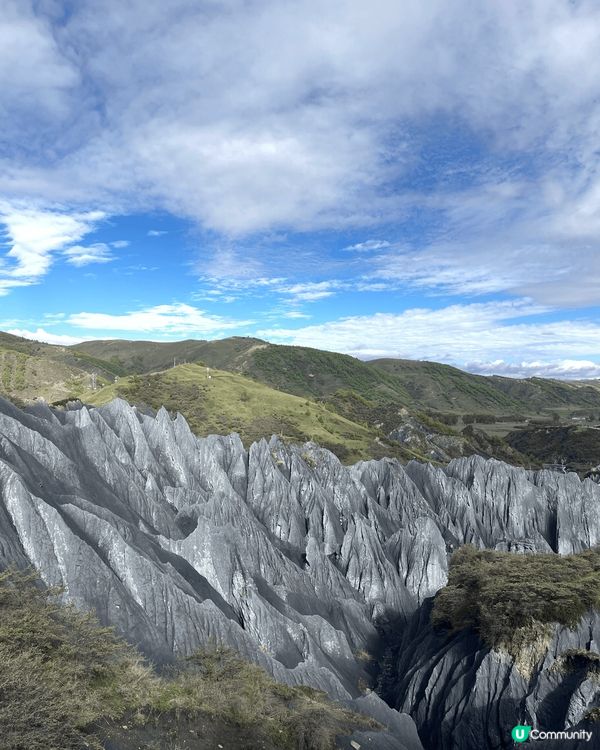 2025年5月，川藏旅遊，墨石公園。整個公園都是土撥鼠在生活