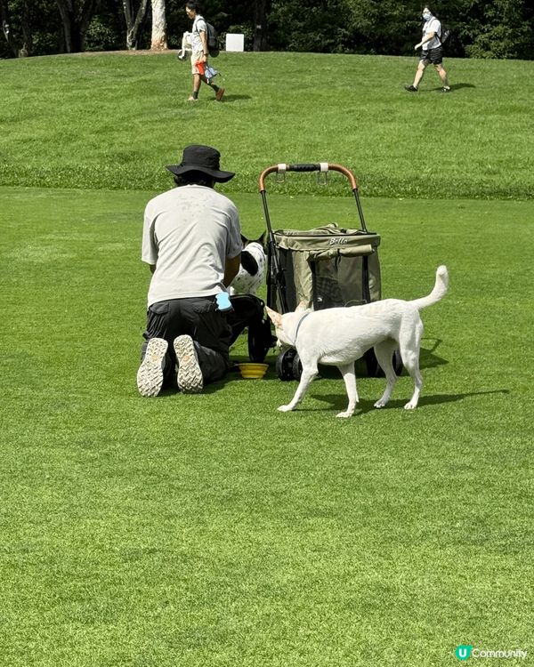 一家人出去快快樂樂❤️有猛烈的太陽