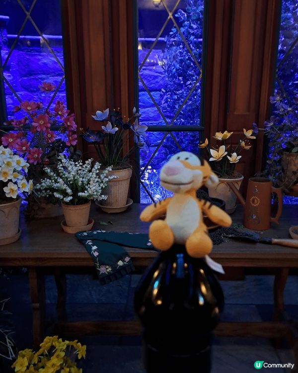 來到東京必須來到這個充滿著奇妙魔法的地方，沒錯就是海洋迪士尼...