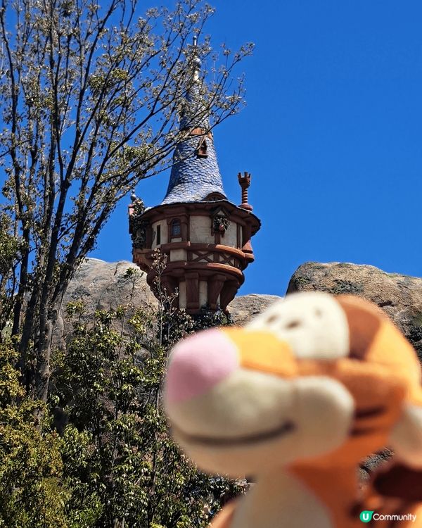 來到東京必須來到這個充滿著奇妙魔法的地方，沒錯就是海洋迪士尼...