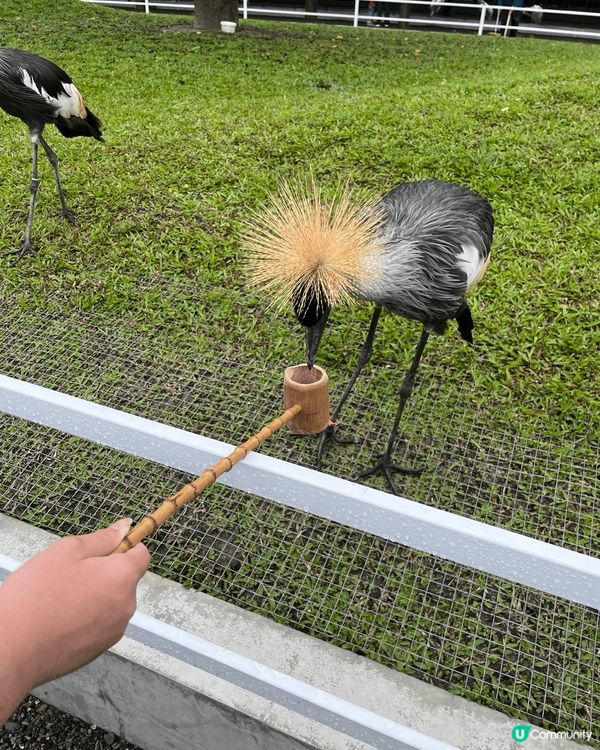 宜蘭萌寵動物園好玩乾淨