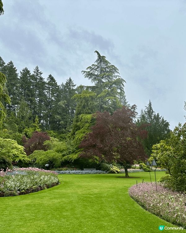 我哋喺溫哥華去咗賞花天堂 —— Butchart Garde...