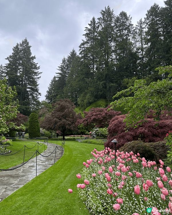 我哋喺溫哥華去咗賞花天堂 —— Butchart Garde...