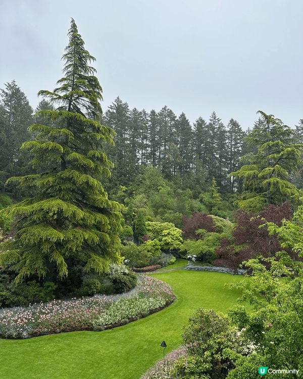 我哋喺溫哥華去咗賞花天堂 —— Butchart Garde...