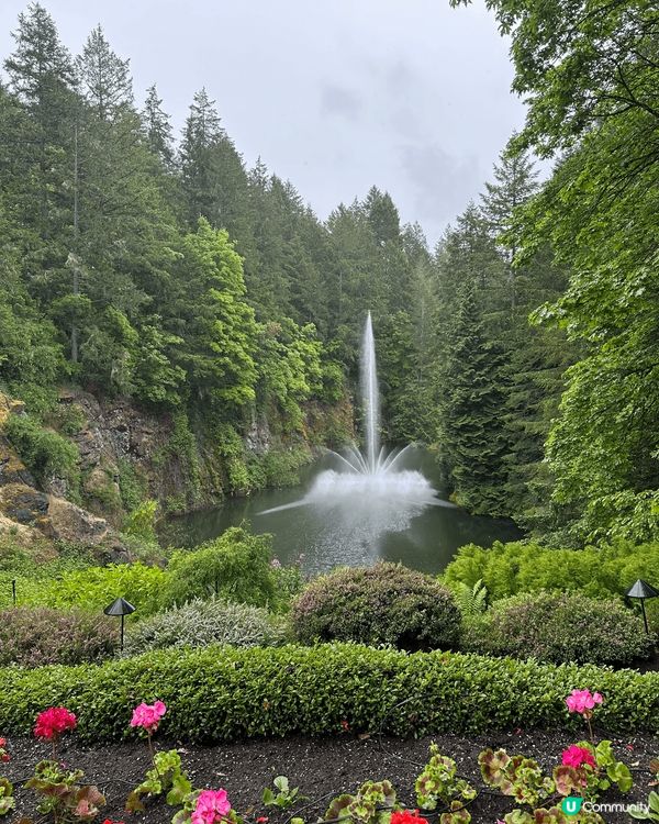 我哋喺溫哥華去咗賞花天堂 —— Butchart Garde...