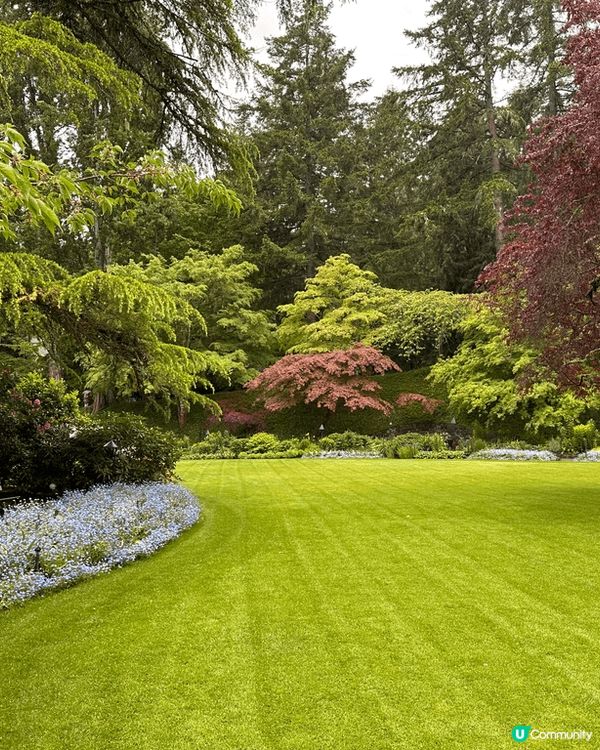 我哋喺溫哥華去咗賞花天堂 —— Butchart Garde...