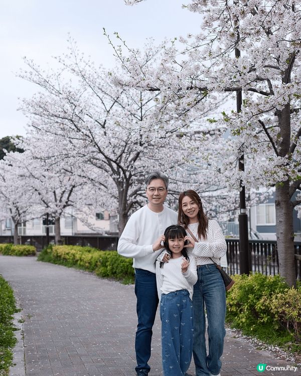 可以同家人一齊到日本東京賞櫻花，確係好幸福，每個地方都拍下家...