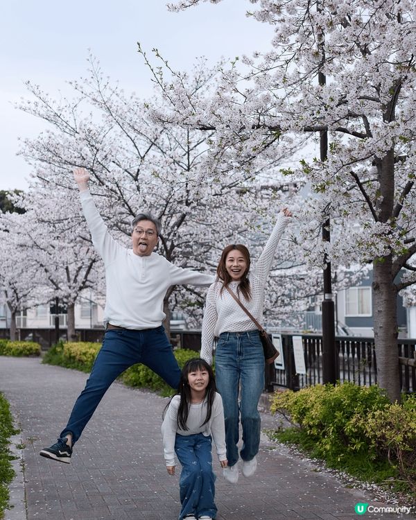可以同家人一齊到日本東京賞櫻花，確係好幸福，每個地方都拍下家...