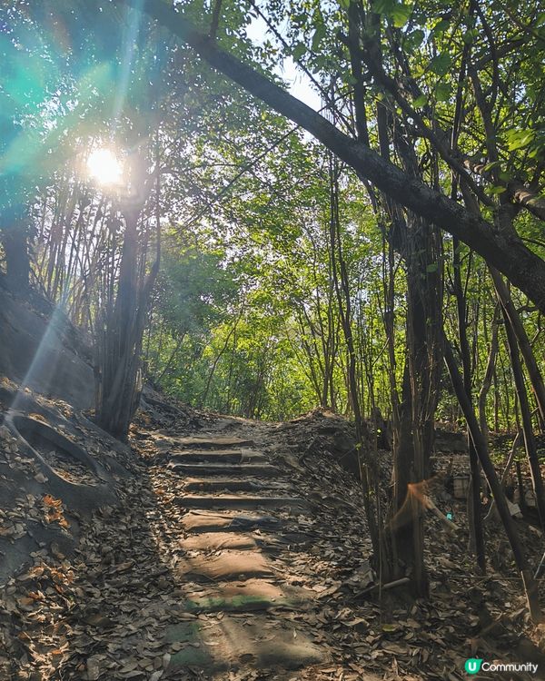 與家人爬了200及級樓梯上到石硤尾主教山，這裡的建築充滿外國...