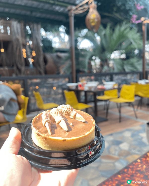 4月同家姐去左北京，去左頤和園影格格相