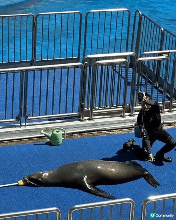 海洋公園 