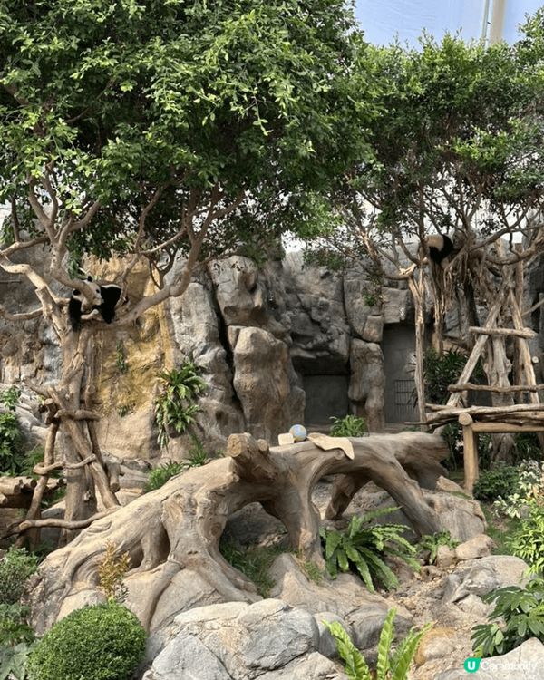 海洋公園 