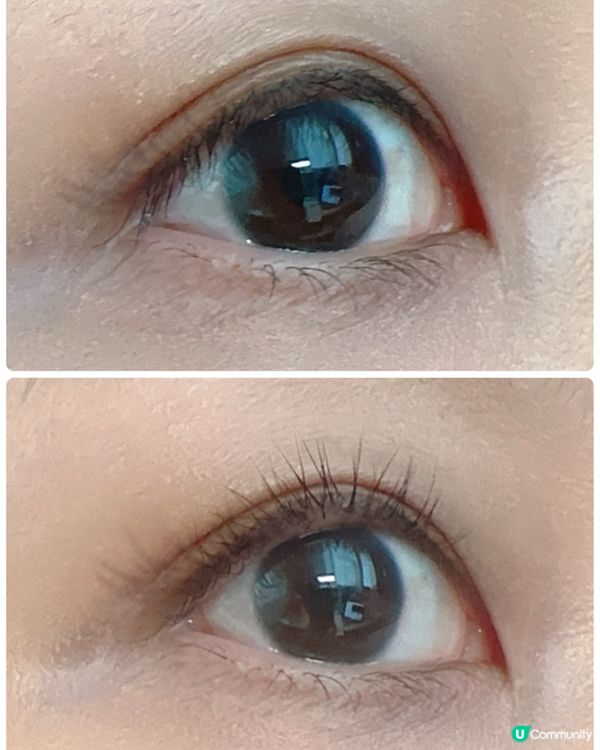 夾睫毛神器！亞洲眼型必備🤩 夾出太陽花睫毛！