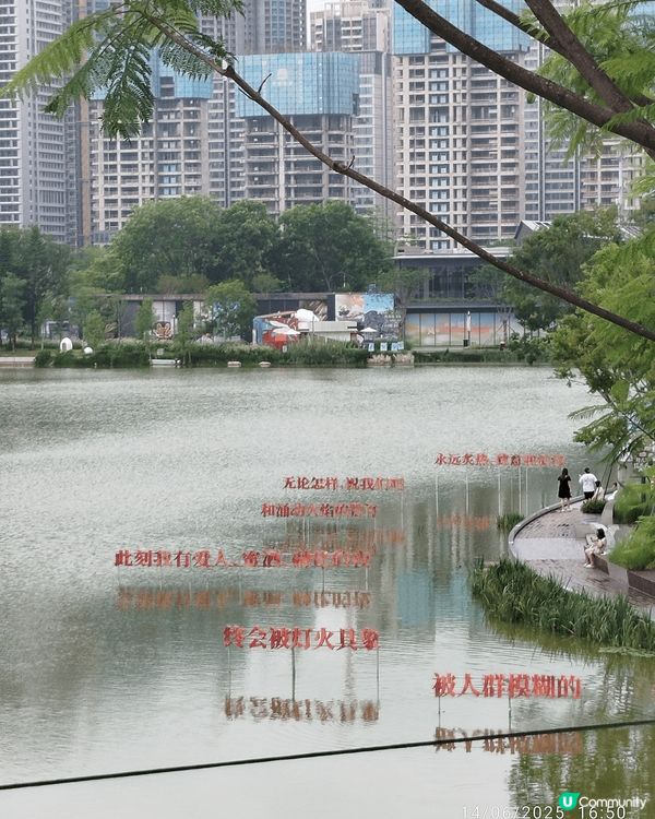 今日同friend 去咗深圳大運天地行街 見到黑天鵝 大運體...