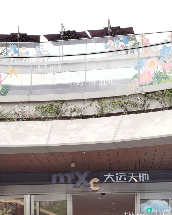 今日同friend 去咗深圳大運天地行街 見到黑天鵝 大運體...