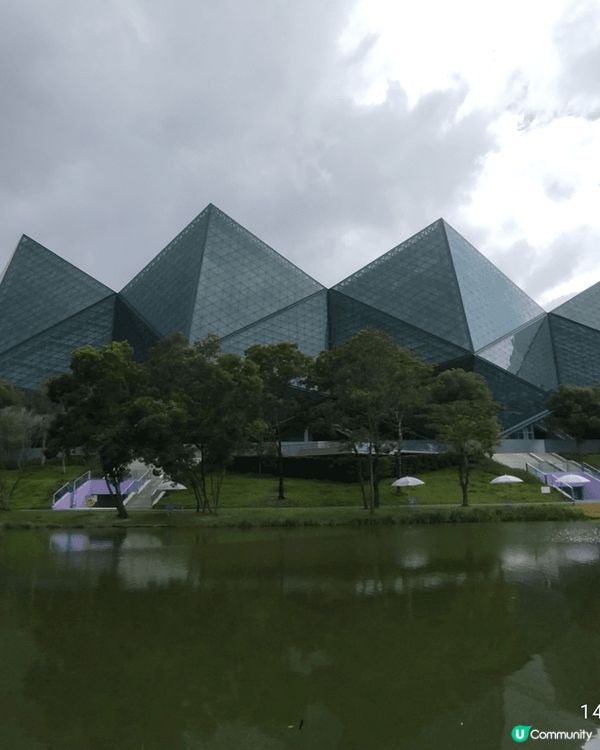 今日同friend 去咗深圳大運天地行街 見到黑天鵝 大運體...