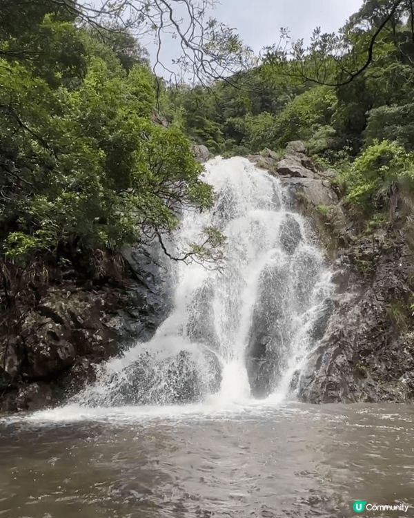 假日悠悠加上父親節必然郊外遊遊，與父同樂樂悠悠，再加上 貴公...