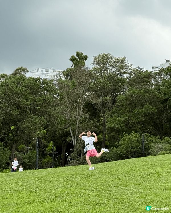 和小朋友到大埔貓貓cafe玩和吃，到海濱公園看龍舟比賽，到草...