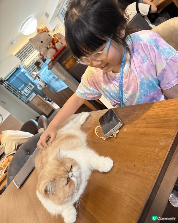 和小朋友到大埔貓貓cafe玩和吃，到海濱公園看龍舟比賽，到草...