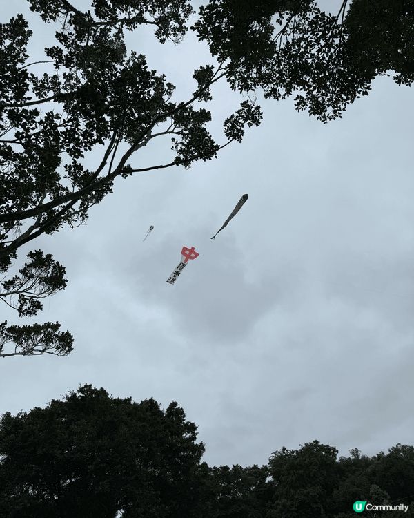 和小朋友到大埔貓貓cafe玩和吃，到海濱公園看龍舟比賽，到草...