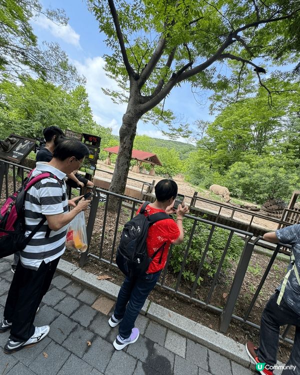 位於係韓國🇰🇷