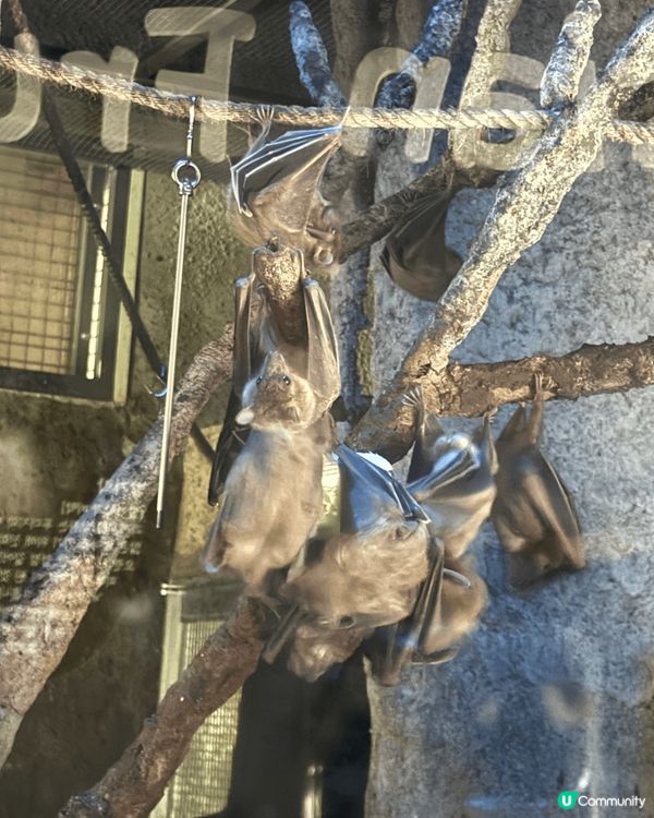 位於係韓國🇰🇷