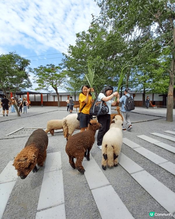 ✈️快閃5天台北之旅👨‍👧‍👧